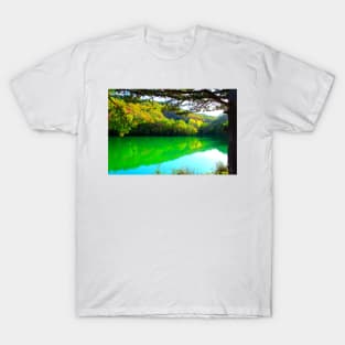 View at Lago di Boccafornace in Pievebovigliana, Valfornace (Macerata) with mirroring body of water T-Shirt